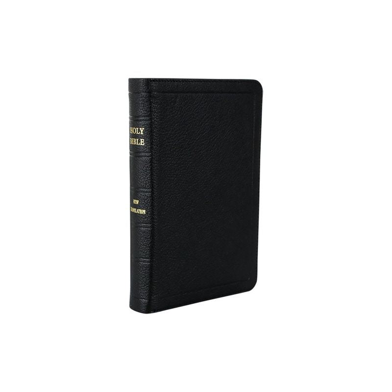 JN Darby Medium Bible No 17 Zip Binding including Extra Notes